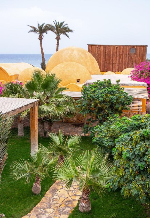Dive Urge Hotel Dahab Exterior foto