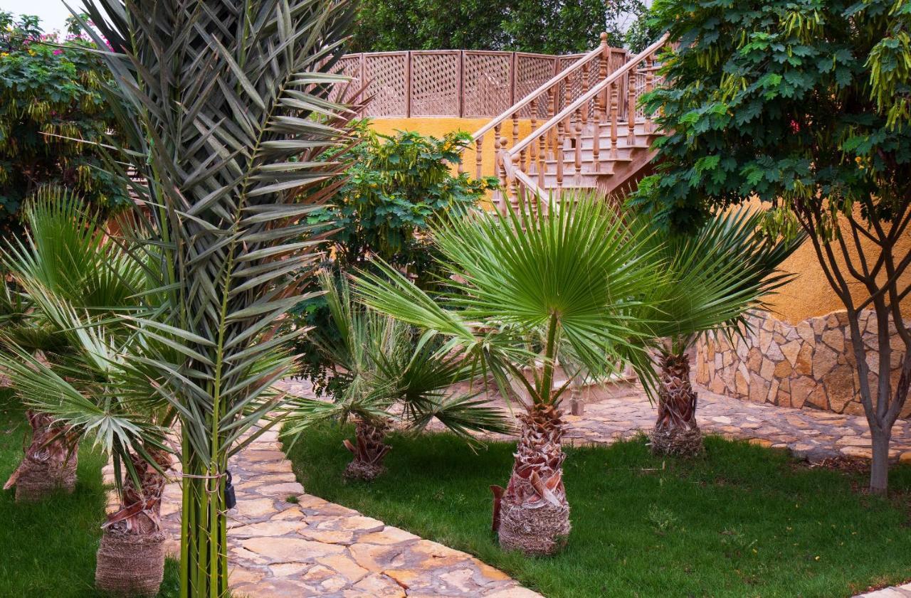 Dive Urge Hotel Dahab Exterior foto
