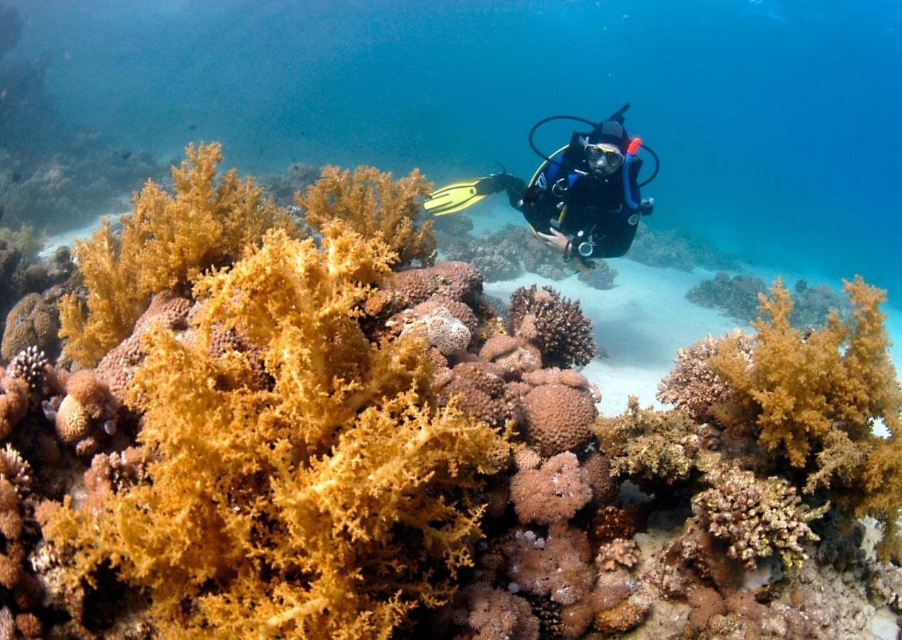 Dive Urge Hotel Dahab Exterior foto