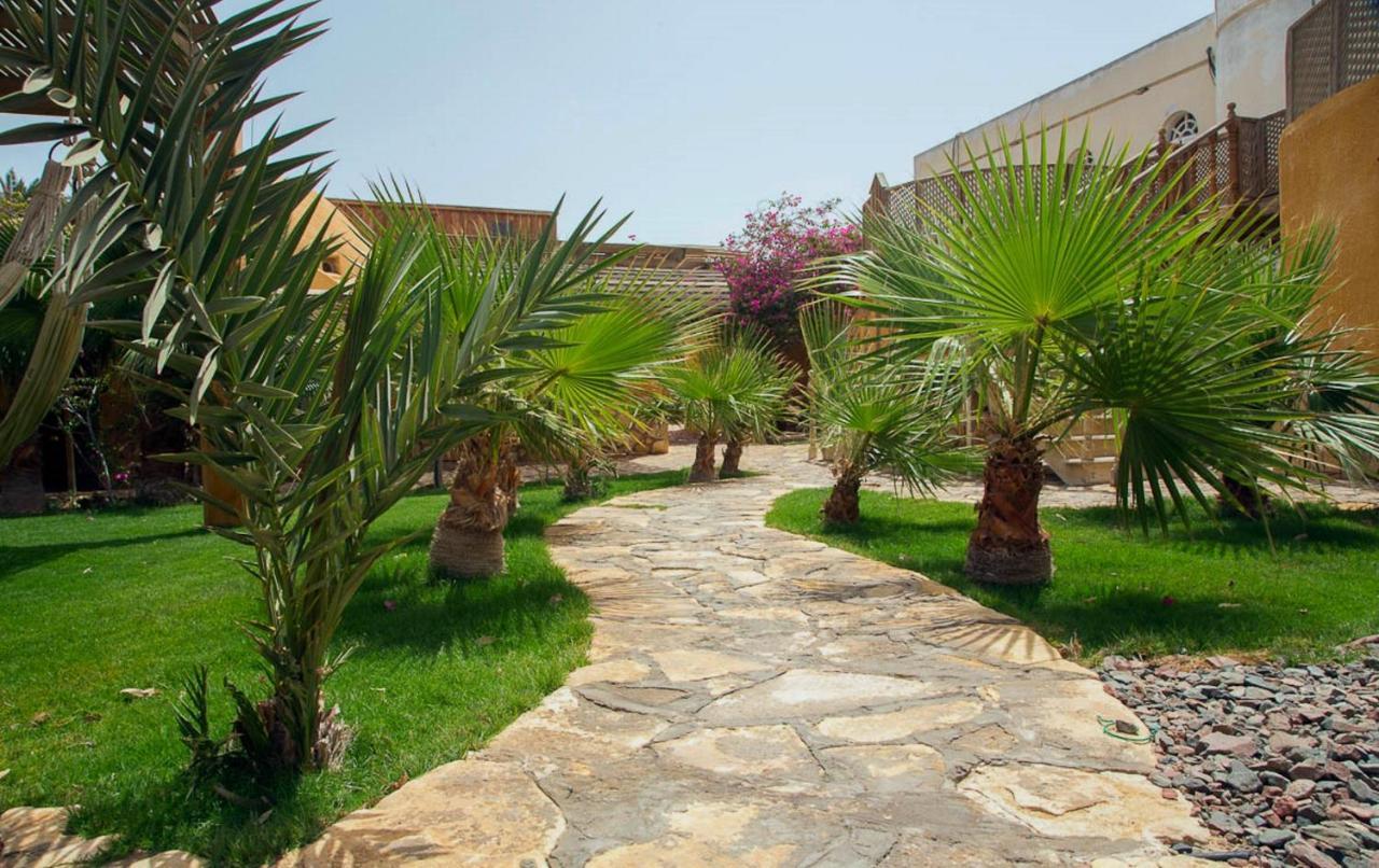Dive Urge Hotel Dahab Exterior foto