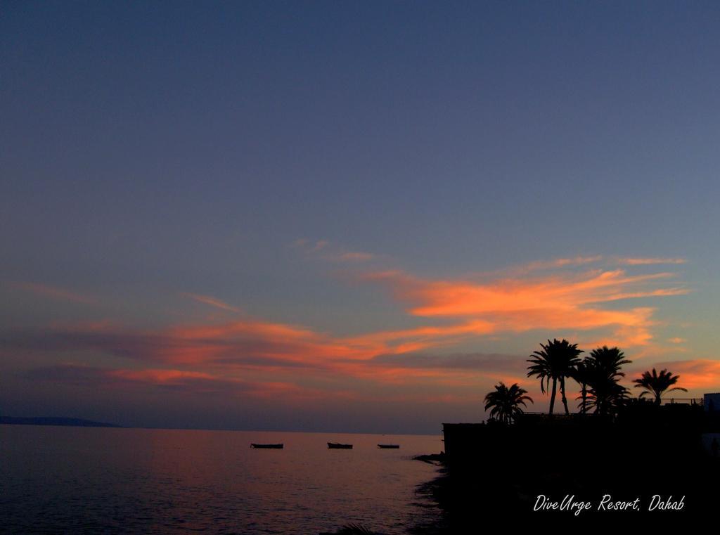 Dive Urge Hotel Dahab Exterior foto