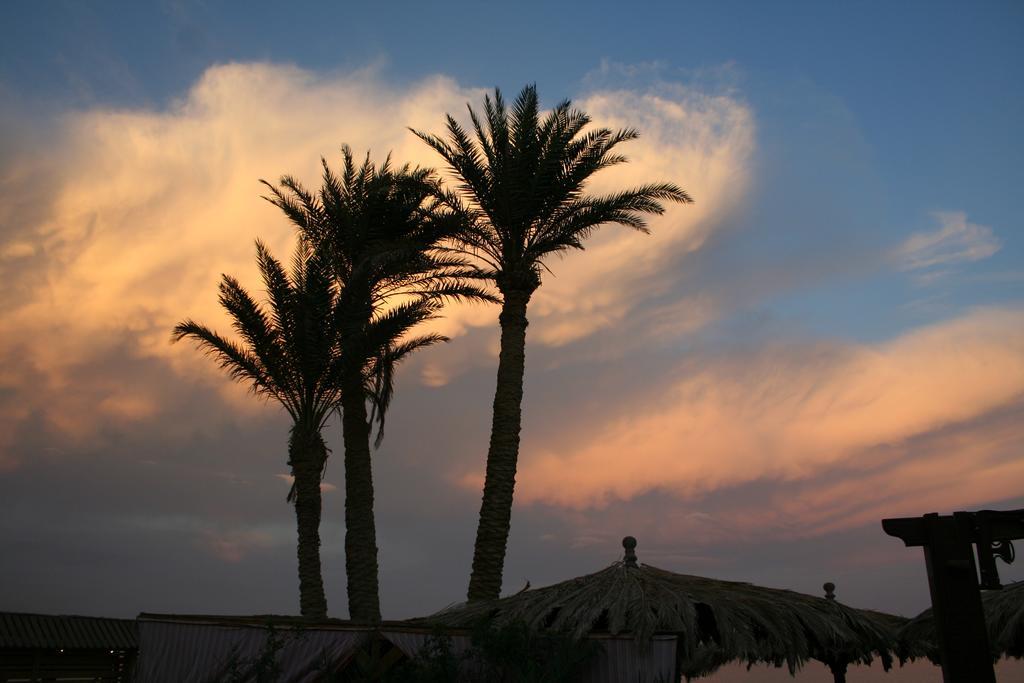 Dive Urge Hotel Dahab Exterior foto