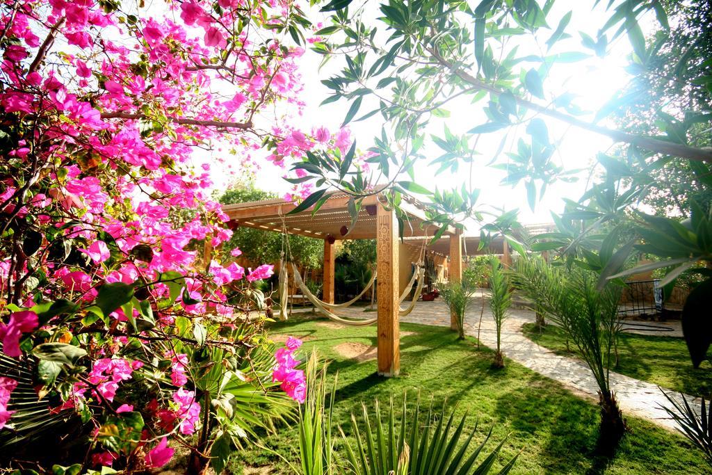Dive Urge Hotel Dahab Exterior foto