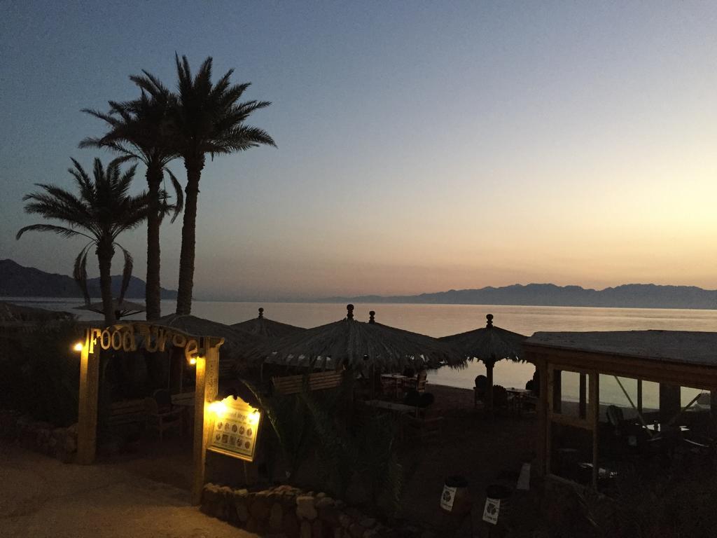 Dive Urge Hotel Dahab Exterior foto