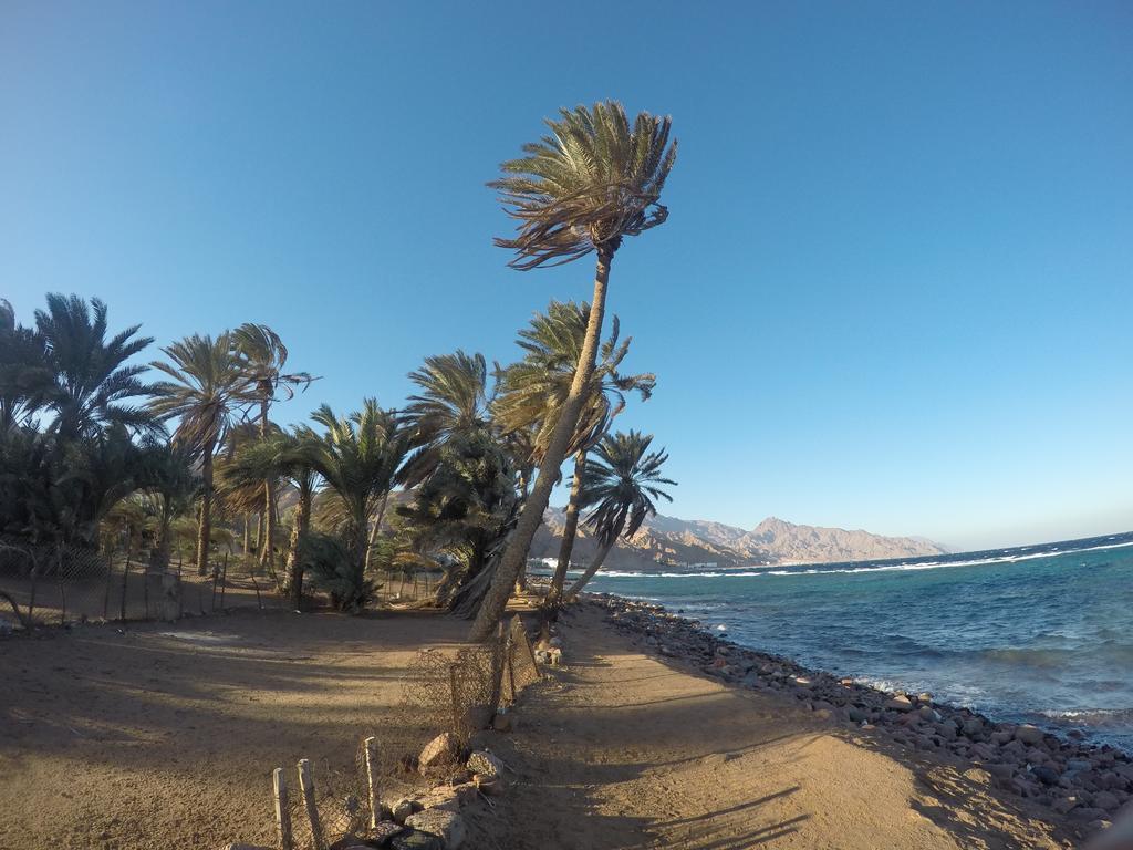 Dive Urge Hotel Dahab Exterior foto