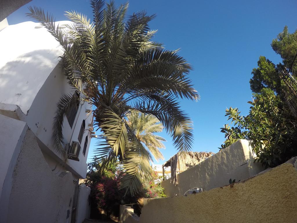Dive Urge Hotel Dahab Exterior foto