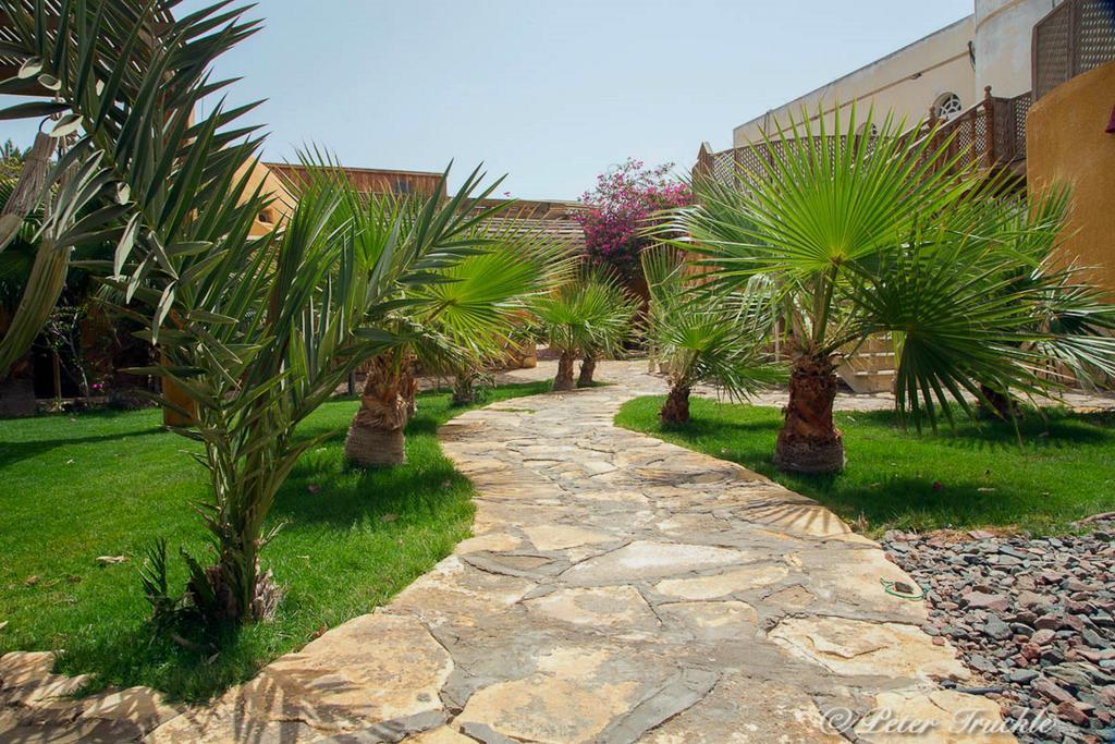 Dive Urge Hotel Dahab Exterior foto